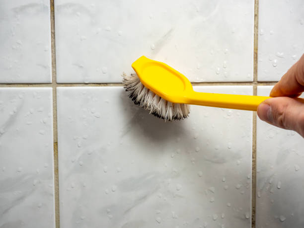 Best Emergency Mold Remediation in Sawgrass, FL