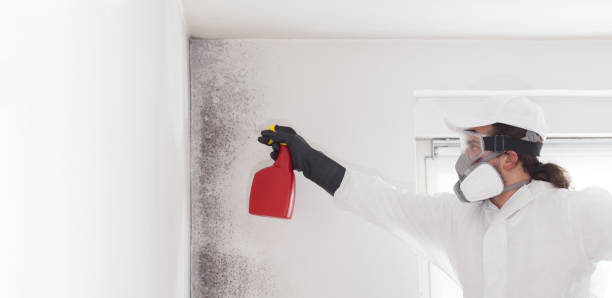 Best Commercial Mold Remediation in Sawgrass, FL